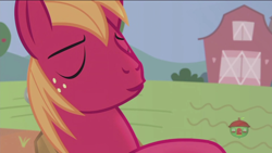 Size: 1920x1080 | Tagged: safe, screencap, big macintosh, earth pony, pony, hard to say anything, male, solo, stallion