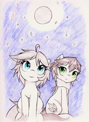 Size: 2550x3507 | Tagged: safe, artist:elusiveautumn, oc, oc only, earth pony, pegasus, pony, traditional art