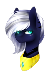 Size: 1024x1538 | Tagged: safe, artist:itsizzybel, oc, oc only, oc:cora, earth pony, pony, bust, female, mare, portrait, simple background, solo, transparent background