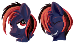Size: 600x351 | Tagged: safe, artist:amura-of-jupiter, oc, oc only, pony, bust, expressions, male, portrait, simple background, smiling, solo, stallion, transparent background
