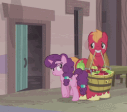 Size: 480x421 | Tagged: safe, artist:steghost, edit, edited screencap, screencap, big macintosh, sugar belle, earth pony, pony, hard to say anything, animated, bedroom eyes, door, female, gif, implied coitus, male, mare, sheldon cooper, shipping, stallion, straight, sugarmac, the big bang theory