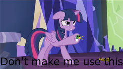 Size: 1920x1080 | Tagged: safe, edit, edited screencap, editor:mrdoctorderpy, screencap, twilight sparkle, twilight sparkle (alicorn), alicorn, duck, pony, what about discord?, angry, discovery family logo, duck badge, image macro, meme, op is a duck (reaction image), pointing, reaction image, solo
