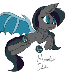 Size: 2000x2000 | Tagged: safe, artist:brokensilence, oc, oc only, oc:moonlitti dusk, bat pony, pony, blue eyes, blue wings, clothes, collar, female, old art, reference sheet, scarf, solo