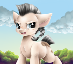 Size: 1600x1400 | Tagged: safe, artist:faline-art, oc, oc only, oc:ride roughshod, pony, angry, female, filly, mohawk, solo