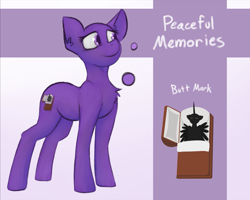 Size: 2041x1632 | Tagged: safe, artist:marsminer, oc, oc only, oc:peaceful memories, pony, reference sheet, solo