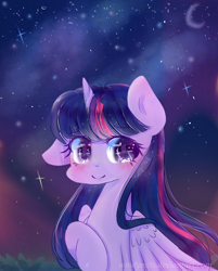 Size: 824x1026 | Tagged: safe, artist:windymils, twilight sparkle, twilight sparkle (alicorn), alicorn, pony, blushing, cute, female, mare, night, night sky, redraw, sky, solo, stars, twiabetes