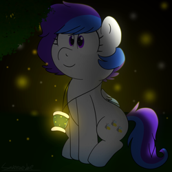 Size: 2000x2000 | Tagged: safe, artist:saveraedae, oc, oc only, oc:fire flight, firefly (insect), pony, firefly lamp, jewelry, lantern, necklace, night, solo