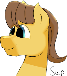 Size: 795x901 | Tagged: safe, artist:supraphary, caramel, earth pony, pony, male, solo