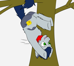 Size: 3600x3200 | Tagged: safe, artist:jolliapplegirl, oc, oc only, oc:nightshade, earth pony, pony, adopted offspring, art trade, hanging, hanging upside down, male, next generation, parent:applejack, prehensile tail, solo