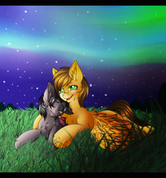 Size: 2100x2241 | Tagged: safe, artist:fkk, oc, oc only, oc:fruit bat, oc:type writer, pony, aurora borealis, grass, male, night, present, prone, request, ych result