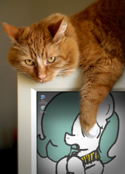 Size: 505x700 | Tagged: safe, artist:ficficponyfic, edit, oc, oc only, oc:emerald jewel, cat, amulet, child, color, colt, colt quest, computer, computer icon, foal, irl, male, monitor, photo, photofunia, windows, windows xp