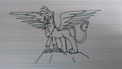 Size: 2560x1440 | Tagged: safe, artist:summerium, oc, oc only, oc:kalimu, griffon, doodle, grayscale, lined paper, monochrome, solo, spread wings, traditional art, wings