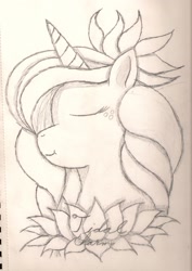Size: 1568x2213 | Tagged: safe, artist:silversthreads, lotus blossom, oc, oc only, oc:tidal charm, original species, unicorn, aqua pony, female, filly, flower, flower in hair, sketch, solo, traditional art