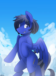 Size: 1024x1398 | Tagged: safe, artist:neoncel, oc, oc only, oc:lazuli, pegasus, pony, solo