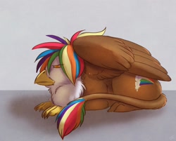 Size: 2231x1791 | Tagged: safe, artist:lady-darkstreak, oc, oc only, oc:rainbow feather, griffon, interspecies offspring, magical lesbian spawn, offspring, parent:gilda, parent:rainbow dash, parents:gildash, prone, quadrupedal, solo