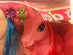 Size: 2592x1936 | Tagged: safe, blind bag, bootleg, error, factory error, toy, wonder pony lands