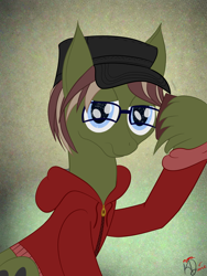 Size: 3000x4000 | Tagged: safe, artist:kayosdrive, oc, oc only, oc:kay, glasses, hat, looking at you, solo, unshorn fetlocks