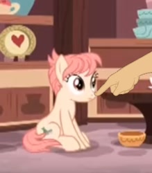 Size: 467x534 | Tagged: safe, edit, edited screencap, screencap, raspberry vinaigrette, pony, discordant harmony, boop, boop edit, cropped, finger, hand