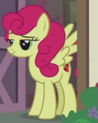 Size: 453x566 | Tagged: safe, screencap, strawberry sunrise, pegasus, pony, honest apple, cropped, lidded eyes, smiling, smug, solo