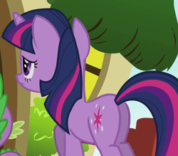 Size: 653x571 | Tagged: safe, screencap, twilight sparkle, pony, magical mystery cure, cropped, female, mare, plot