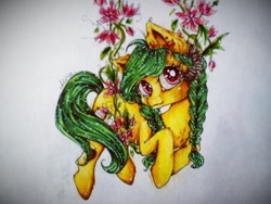 Size: 960x720 | Tagged: safe, artist:alicekuzmacat, oc, oc only, earth pony, pony, flower, photo, solo, traditional art, vine