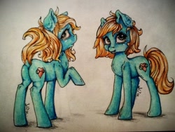 Size: 960x720 | Tagged: safe, artist:alicekuzmacat, oc, oc only, earth pony, pony, photo, plot, solo, traditional art