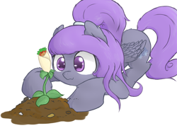 Size: 1280x960 | Tagged: safe, artist:pich-un, oc, oc only, oc:nightwind, pegasus, pony, burrito, farming, food, plant, solo