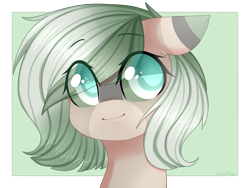 Size: 3000x2250 | Tagged: safe, artist:shiromidorii, oc, oc only, pony, bust, colored pupils, female, high res, mare, portrait, solo