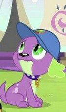 Size: 135x230 | Tagged: safe, screencap, spike, spike the regular dog, dog, equestria girls, legend of everfree, cap, hat, looking up, male, paws, solo