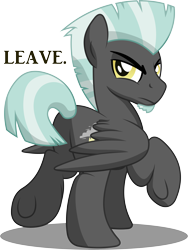 Size: 6900x9198 | Tagged: safe, artist:drawponies, artist:gray-gold, thunderlane, pegasus, pony, .svg available, absurd resolution, annoyed, male, plot, simple background, solo, stallion, thunderbutt, transparent background, unamused, underhoof, vector, vector trace