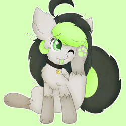 Size: 3000x3000 | Tagged: safe, artist:pegamutt, oc, oc only, oc:bree jetpaw, dog pony, pony, askbreejetpaw, collar, fluffy, paws, scratching, tongue out