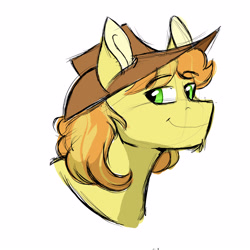 Size: 3000x3000 | Tagged: safe, artist:scarletskitty12, braeburn, earth pony, pony, bust, cowboy hat, green eyes, hat, male, simple background, smiling, solo, stallion, stetson, white background