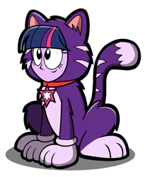 Size: 1215x1485 | Tagged: safe, artist:kingtoby19, twilight sparkle, cat, equestria girls, animal costume, cat costume, clothes, costume, simple background, solo, transparent background