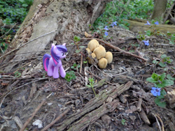 Size: 4608x3456 | Tagged: safe, artist:lee-sherman, twilight sparkle, pony, absurd resolution, blind bag, flower, irl, mushroom, photo, solo, toy