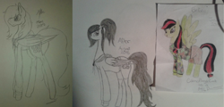 Size: 1024x493 | Tagged: safe, artist:anxiouslilnerd, oc, oc only, oc:camoflage cat, pegasus, pony, 2015, 2017, clothes, hoodie, old art, old art is old, redraw, shorts, traditional art