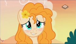 Size: 1245x720 | Tagged: safe, screencap, pear butter, pony, the perfect pear, blushing, boomerang (tv channel), cute, flower, flower in hair, pearabetes, smiling, solo