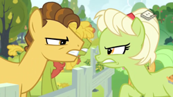 Size: 1024x576 | Tagged: safe, screencap, cinnamon pear, goldie delicious, grand pear, granny smith, pony, the perfect pear, boomerang (tv channel), cornice pear, glare, gritted teeth, looking at each other, pear family member, shiny concorde, young grand pear, young granny smith, younger