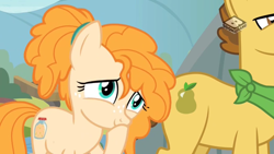 Size: 1024x576 | Tagged: safe, screencap, grand pear, pear butter, pony, the perfect pear, boomerang (tv channel), smiling, younger