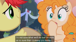 Size: 2001x1125 | Tagged: safe, edit, edited screencap, screencap, bright mac, pear butter, earth pony, pony, the perfect pear, brightbutter, female, male, meme, shipping, smiling, straight, youtube caption