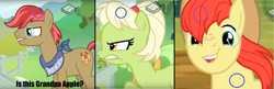 Size: 2376x772 | Tagged: safe, artist:epiccrasher, edit, edited screencap, screencap, bright mac, goldie delicious, granny smith, pony, the perfect pear, family, grandpa apple, headcanon, lazy, ms paint, theory, young granny smith