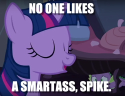 Size: 860x660 | Tagged: safe, spike, twilight sparkle, twilight sparkle (alicorn), alicorn, dragon, pony, castle mane-ia, castle, hypocrisy, image macro, meme, night, scene interpretation, smartass, vulgar