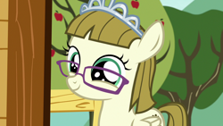 Size: 1280x720 | Tagged: safe, screencap, zippoorwhill, pony, forever filly, cute, glasses, smiling, solo, zippoorbetes