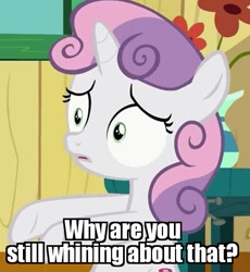 Size: 437x475 | Tagged: safe, edit, edited screencap, screencap, sweetie belle, the fault in our cutie marks, caption, confused, flower, image macro, meme, reaction image, solo, table, vase, window