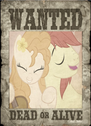 Size: 418x577 | Tagged: safe, bright mac, pear butter, pony, the perfect pear, brightbutter, female, male, shipping, straight, wanted poster