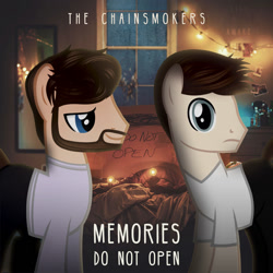 Size: 1500x1500 | Tagged: safe, artist:aldobronyjdc, pony, album, album cover, cover, parody, ponified, ponified album cover, the chainsmokers