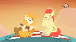 Size: 829x462 | Tagged: safe, screencap, bright mac, pear butter, pony, the perfect pear, brightbutter, cowboy hat, female, guitar, hat, male, picnic, shipping, stetson, straight