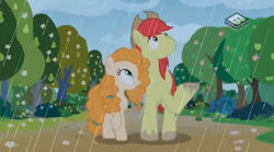 Size: 829x462 | Tagged: safe, screencap, bright mac, pear butter, pony, the perfect pear, brightbutter, female, male, pear tree, rain, shipping, spring, straight