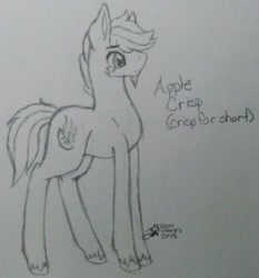 Size: 1024x1100 | Tagged: safe, artist:zipperdrawz, oc, oc only, oc:apple crisp, earth pony, pony, applecest, beard, black and white, facial hair, grayscale, incest, monochrome, next generation, offspring, parent:applejack, parent:big macintosh, parents:applemac, product of incest