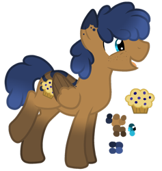 Size: 1024x1082 | Tagged: safe, artist:zipperdrawz, oc, oc only, oc:blueberry muffin, pegasus, pony, base used, simple background, solo, transparent background, vector