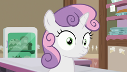 Size: 1920x1090 | Tagged: safe, screencap, sweetie belle, pony, forever filly, solo